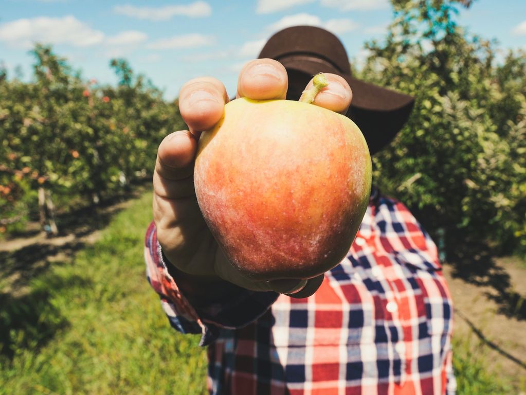 Appelgaard bezoeken Scott Farm Orchard Appelgaard bezoeken Scott Farm Orchard